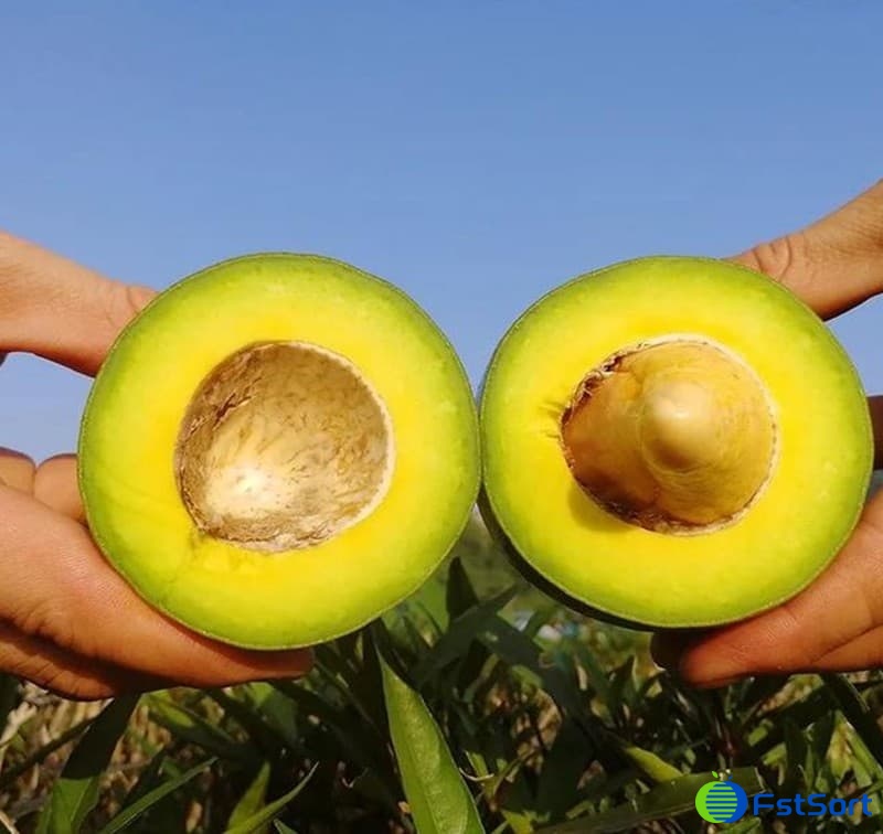 images/1678867044238Aguacates de México1.jpg